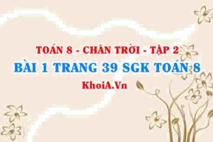 Bài 1 trang 39 Toán 8 Chân trời sáng tạo Tập 2